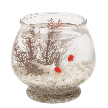 features Anchor Hocking clear glass fish bowl 1/2 gallon/64 oz. 