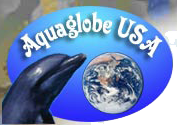 aqua globe small