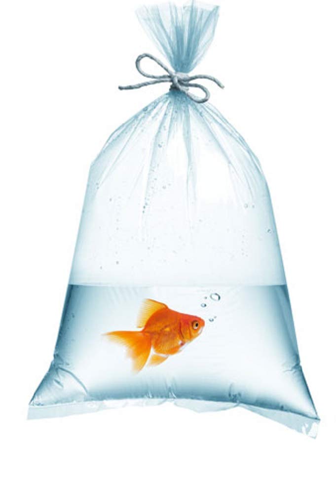 BS-00612 6″x12″ Fish Bags 1000ct - Blue Sky Pet Supply