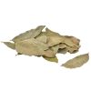 KO-93430 Dried Longan Leaves ( 50pc bag)