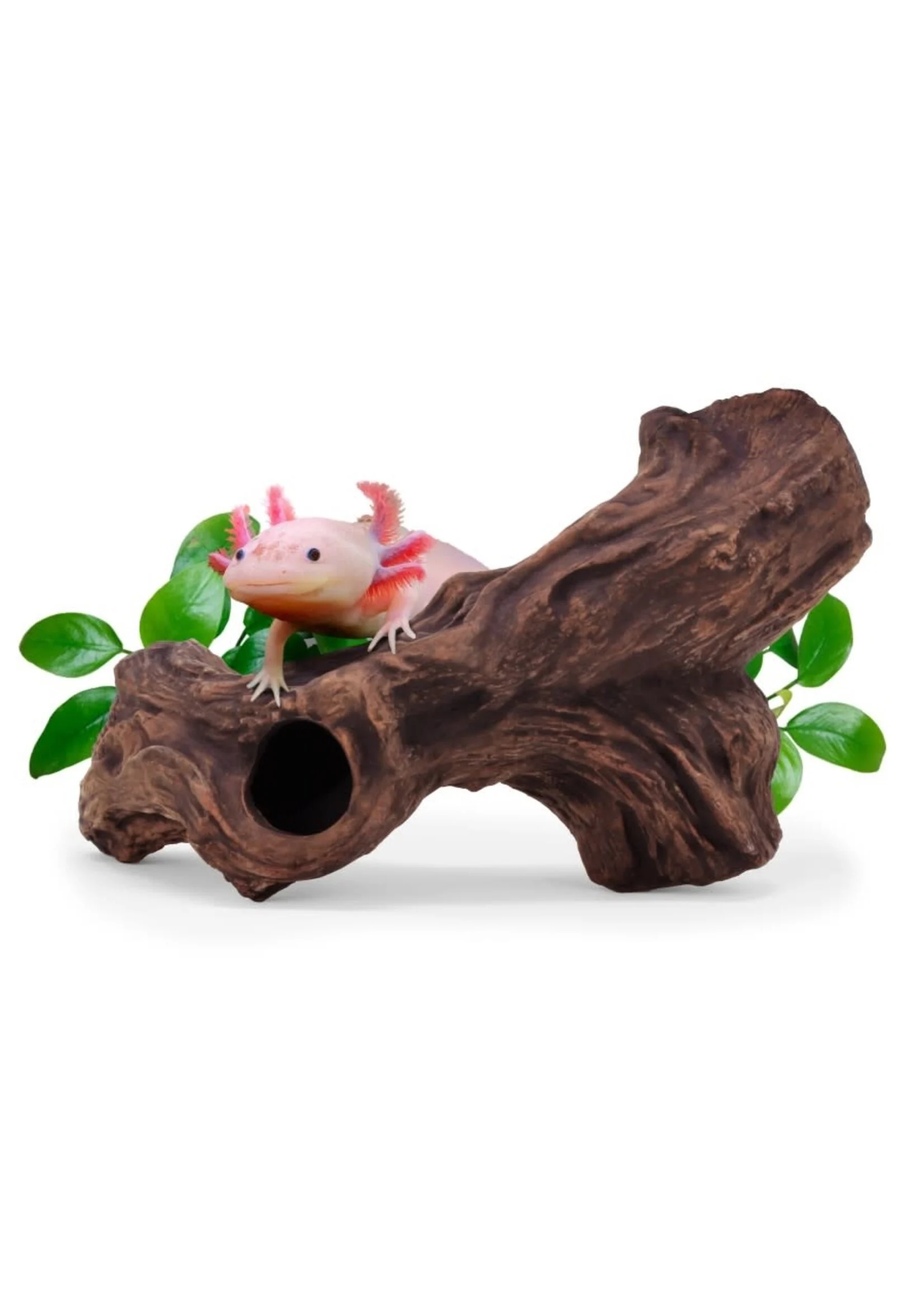 SC-07097 Ceramic Hide B3