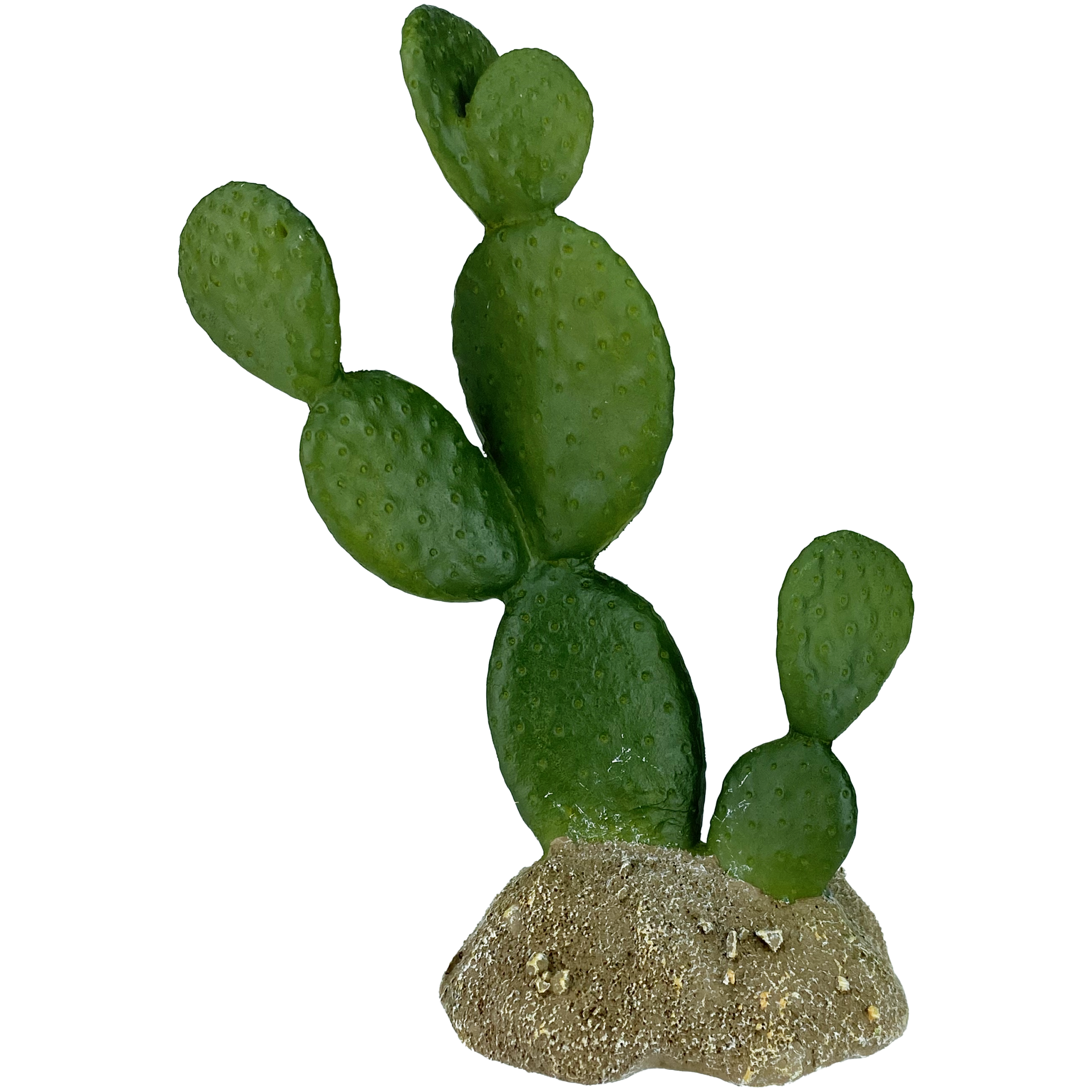 KO-93322 Prickly Pear Cactus 6.5"