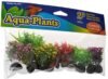PP-09972 Fore Betta PLants 2" 12pk