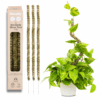 MO-99732 Bendable Moss Pole THIN 30" 3pk