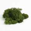 MO-17162 Reindeer Moss 100g Pistachio Color