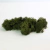 MO-17164 Reindeer Moss 100g Shamrock Color