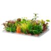 AU-01509 Plant Profit Pack 3-4" Asst Color 24pc