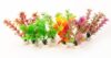 AU-01599 Plant Profit Pack 5" Asst Color 10pc