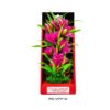 AU-88016 Plant Vibrant Passion Pink 10"