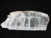 BS-00218 Bulk Rock Utah Ice 25lb