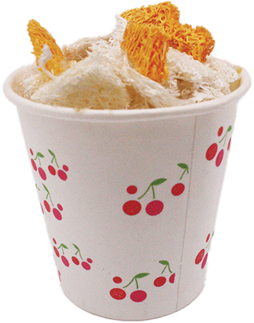 AE-00980 Loofah Popcorn