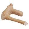 AE-00223 Java Wood Reptile Branch Md