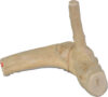 AE-00000 Java Wood Reptile Branch XS